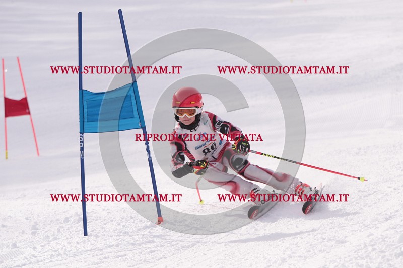 IMG_5785.JPG