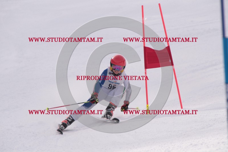 IMG_5892.JPG