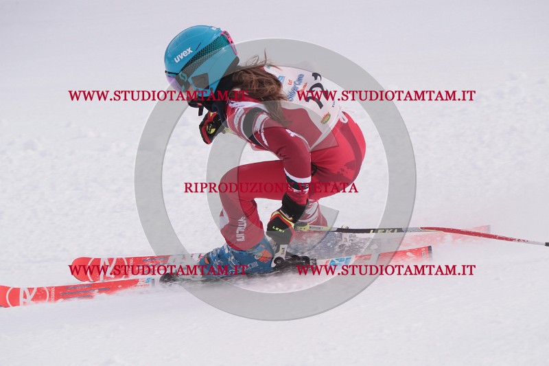 IMG_6182.JPG