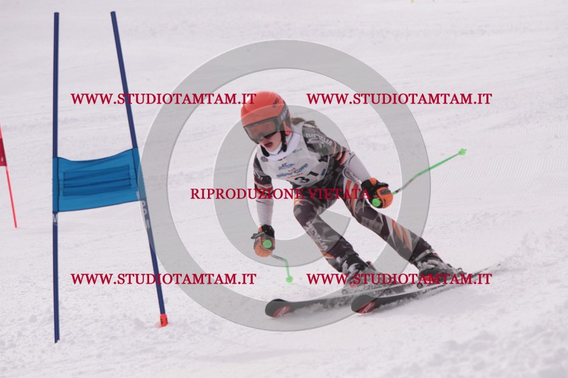 IMG_6299.JPG
