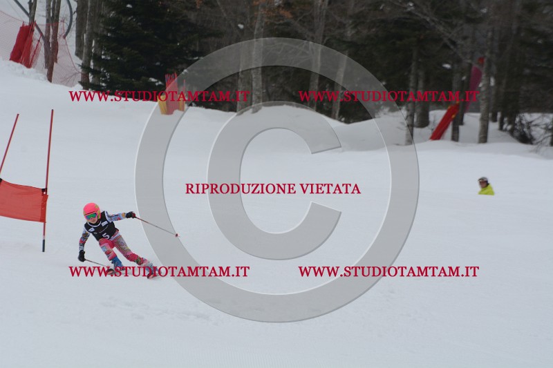 DSC_3641.JPG