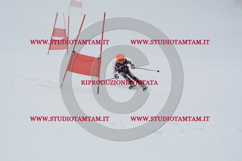 DSC_3668.JPG