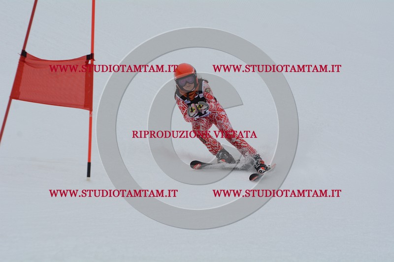 DSC_3673.JPG
