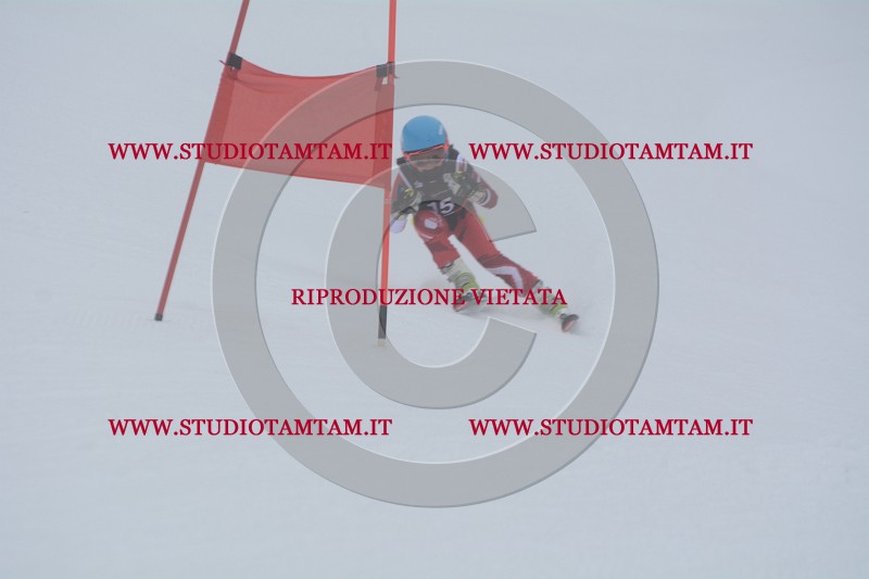 DSC_3685.JPG