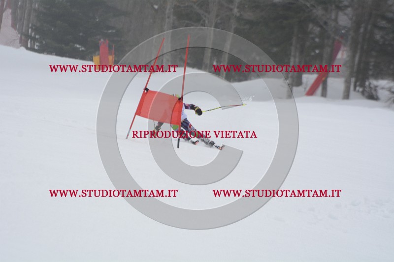 DSC_3700.JPG