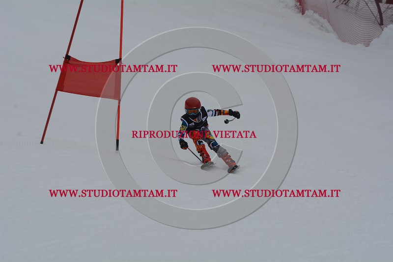 DSC_3723.JPG