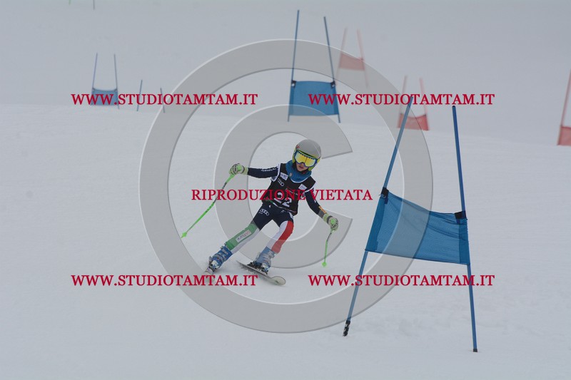 DSC_3724.JPG