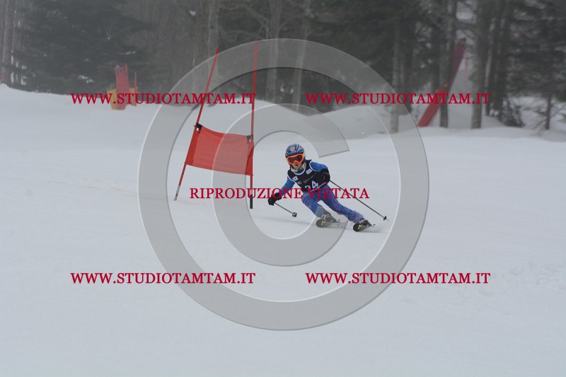 DSC_3736.JPG
