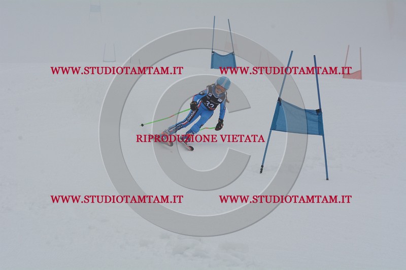 DSC_3787.JPG