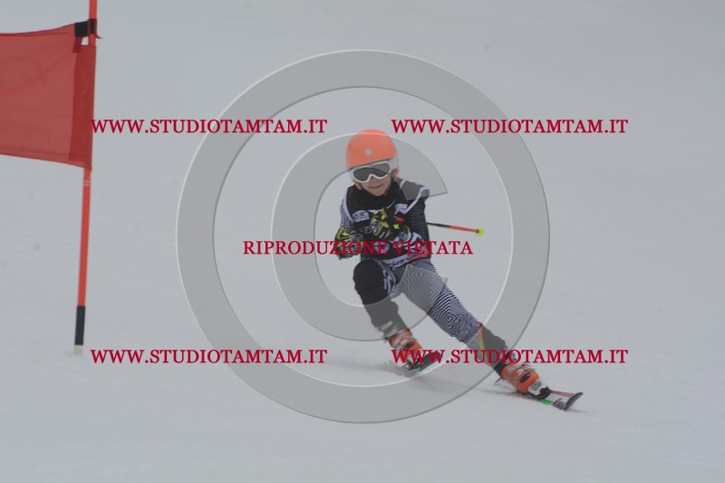 DSC_3810.JPG
