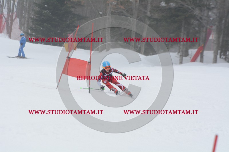 DSC_3937.JPG
