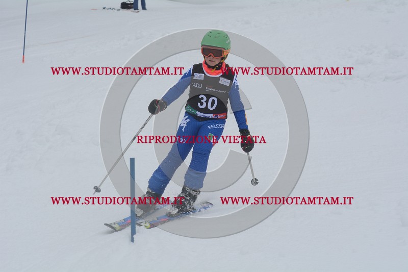 DSC_4464.JPG
