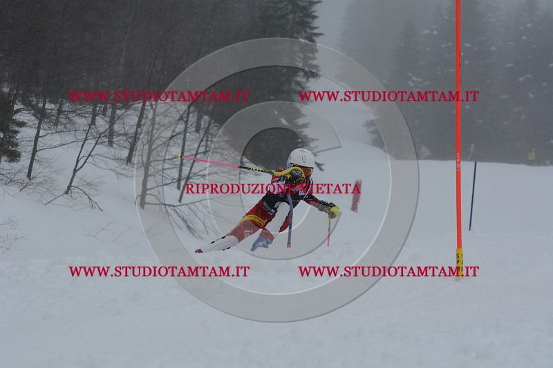 DSC_4636.JPG