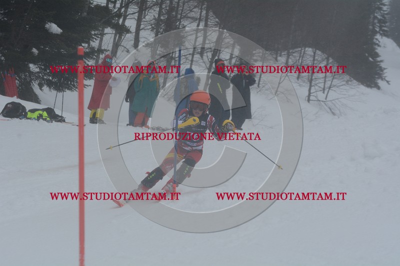 DSC_4654.JPG