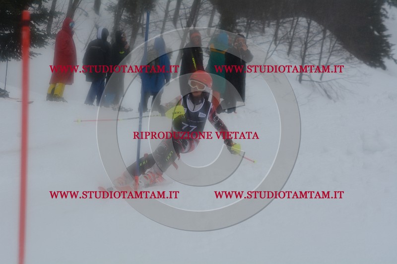 DSC_4657.JPG