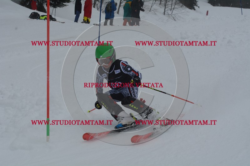 DSC_4689.JPG