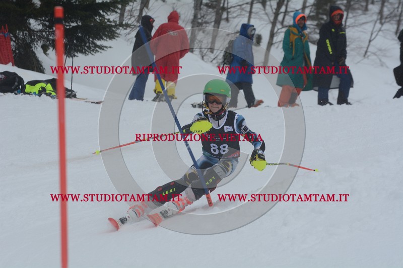 DSC_4696.JPG