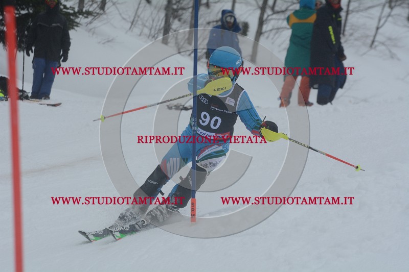 DSC_4701.JPG