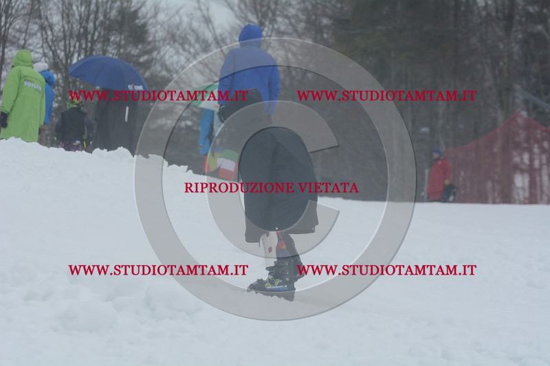 DSC_4708.JPG