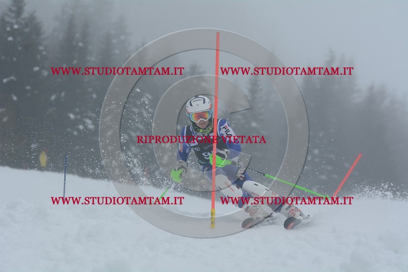 DSC_4715.JPG