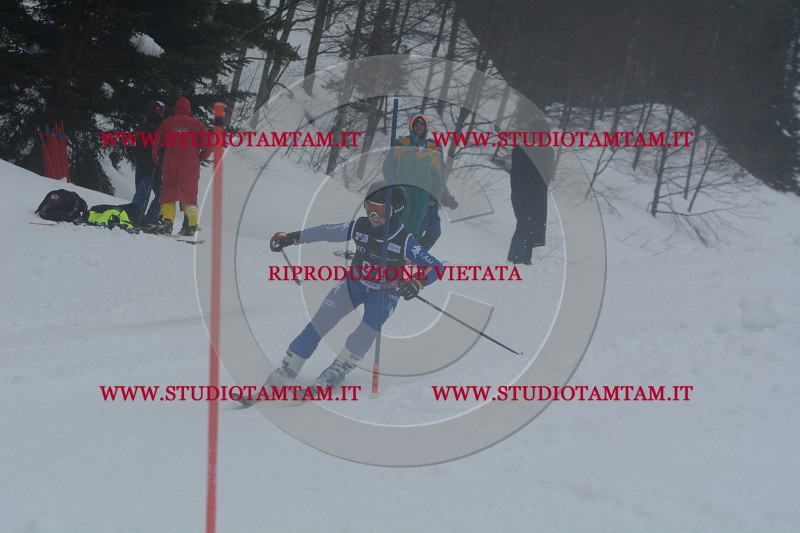 DSC_4720.JPG