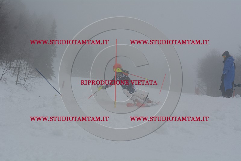 DSC_4769.JPG