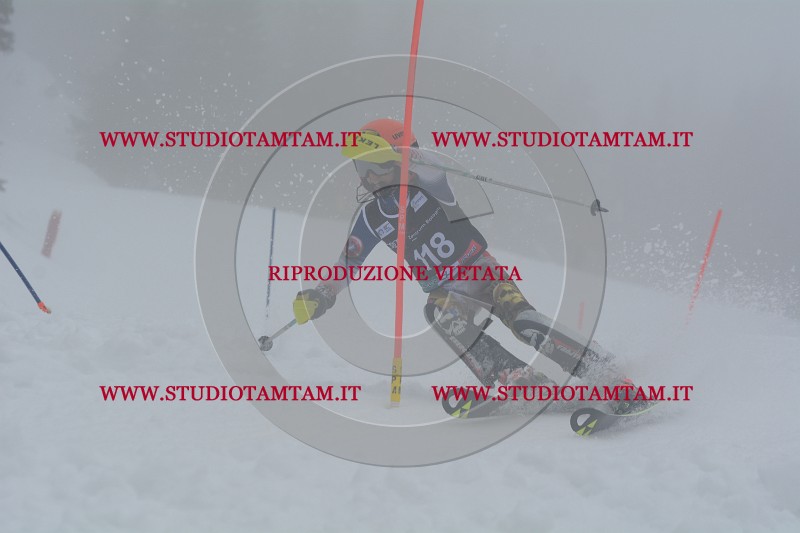 DSC_4780.JPG