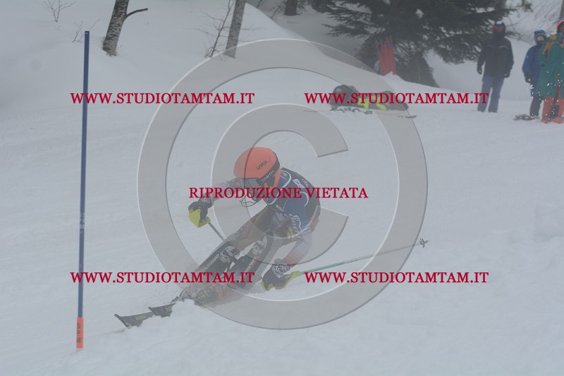 DSC_4782.JPG