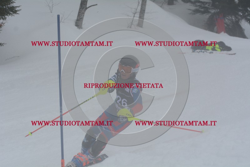 DSC_4802.JPG