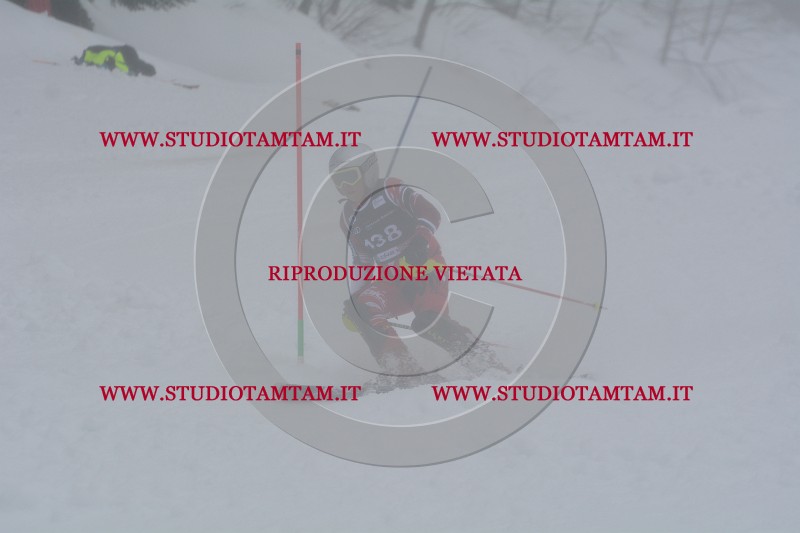 DSC_4825.JPG