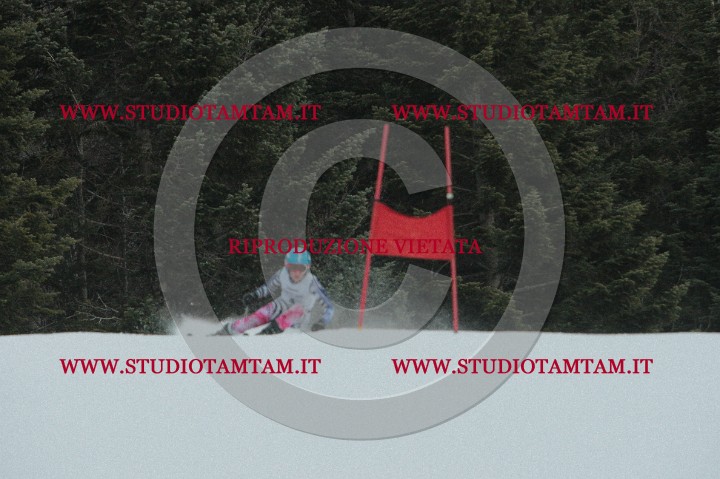 IMGB0068.JPG