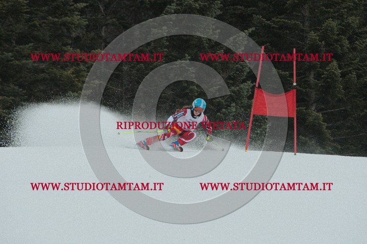IMGB0148.JPG