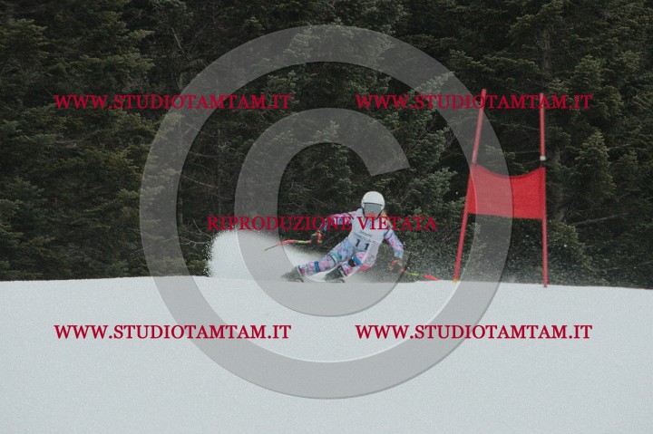 IMGB0267.JPG