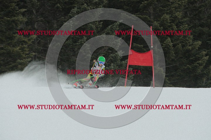 IMGB0300.JPG