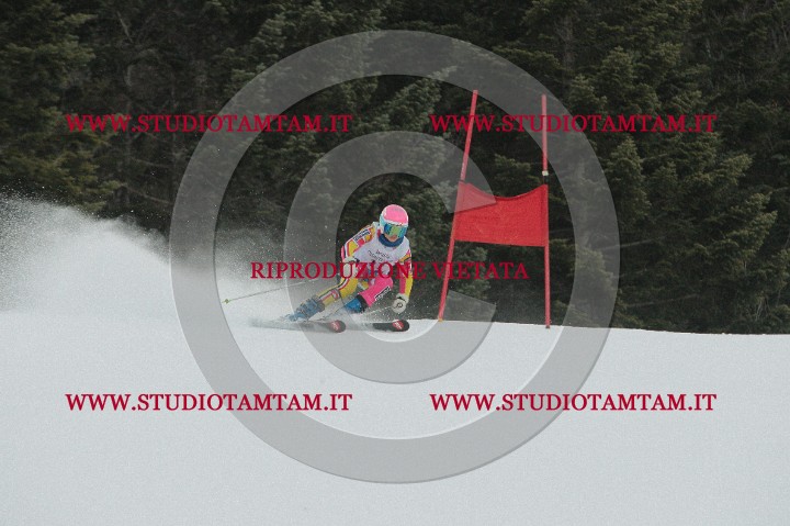IMGB0439.JPG