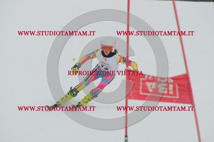 IMGB0476.JPG