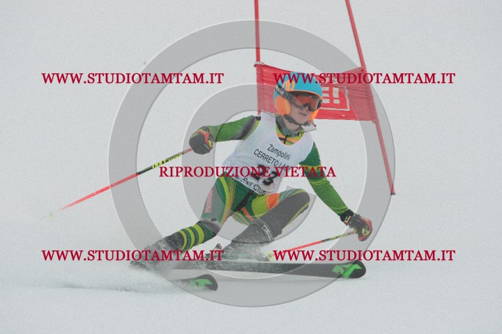IMGB0625.JPG