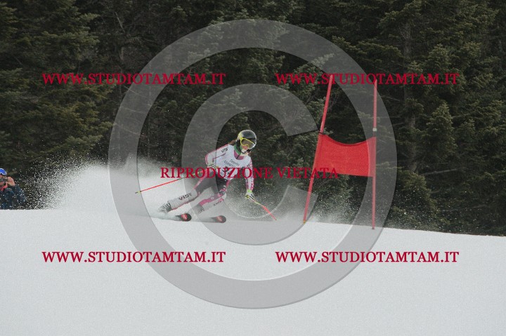 IMGB0636.JPG