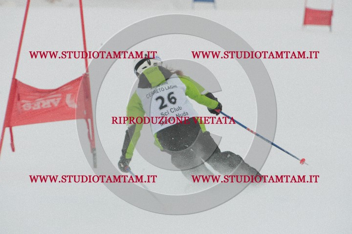 IMGB0718.JPG