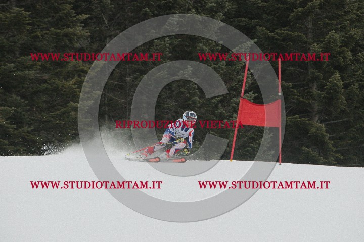 IMGB0731.JPG