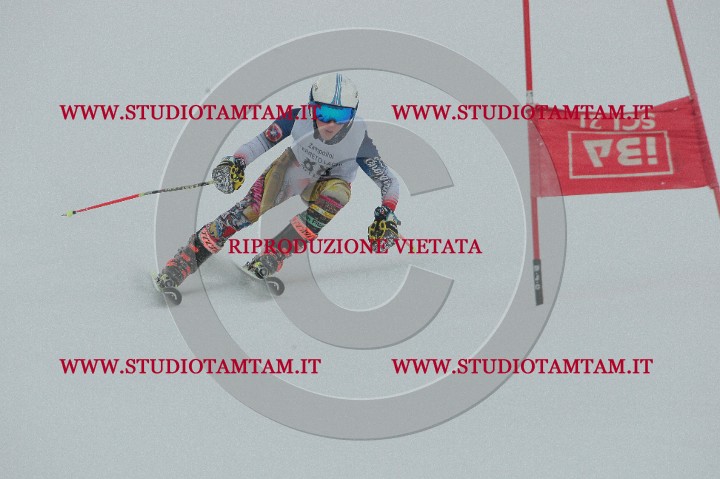 IMGB2107.JPG