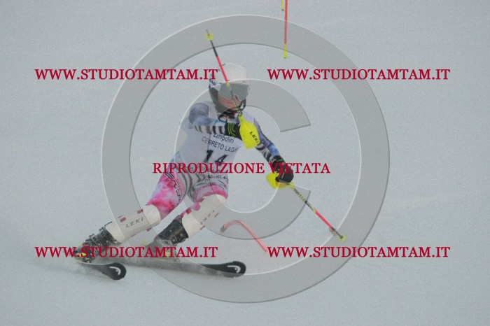IMGB5639.jpg