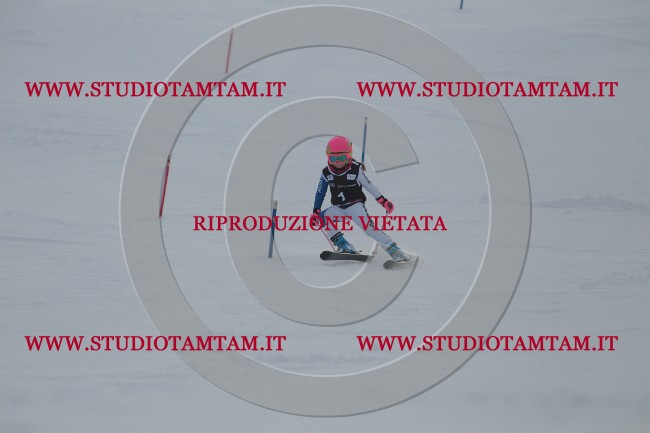 IMG_6818.JPG
