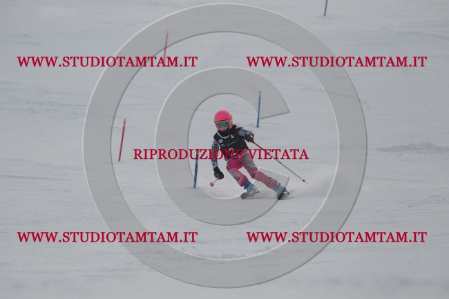 IMG_6858.JPG