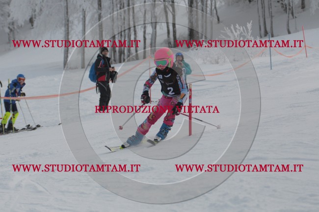 IMG_6877.JPG
