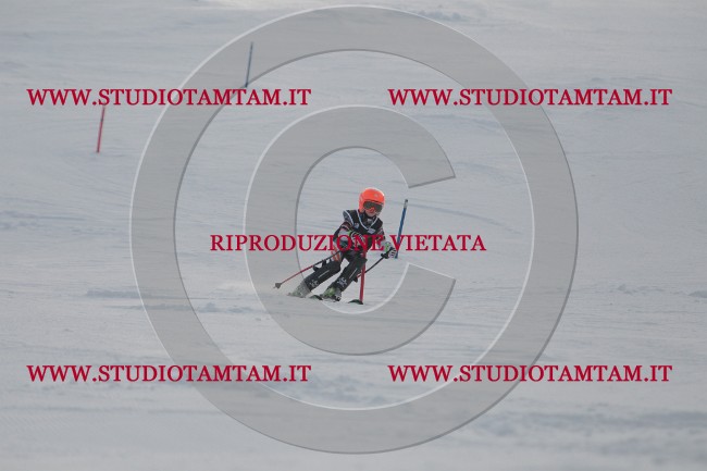 IMG_6892.JPG