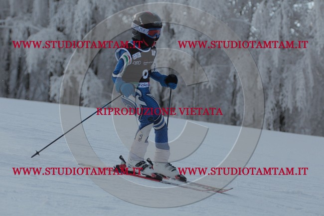 IMG_7138.JPG