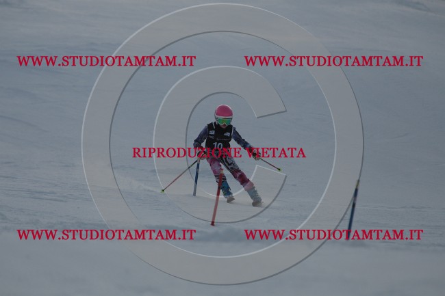 IMG_7144.JPG