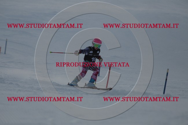 IMG_7150.JPG