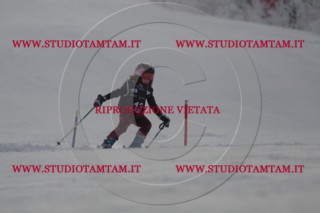 IMG_7217.JPG